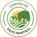 SAUCE MONTRULL